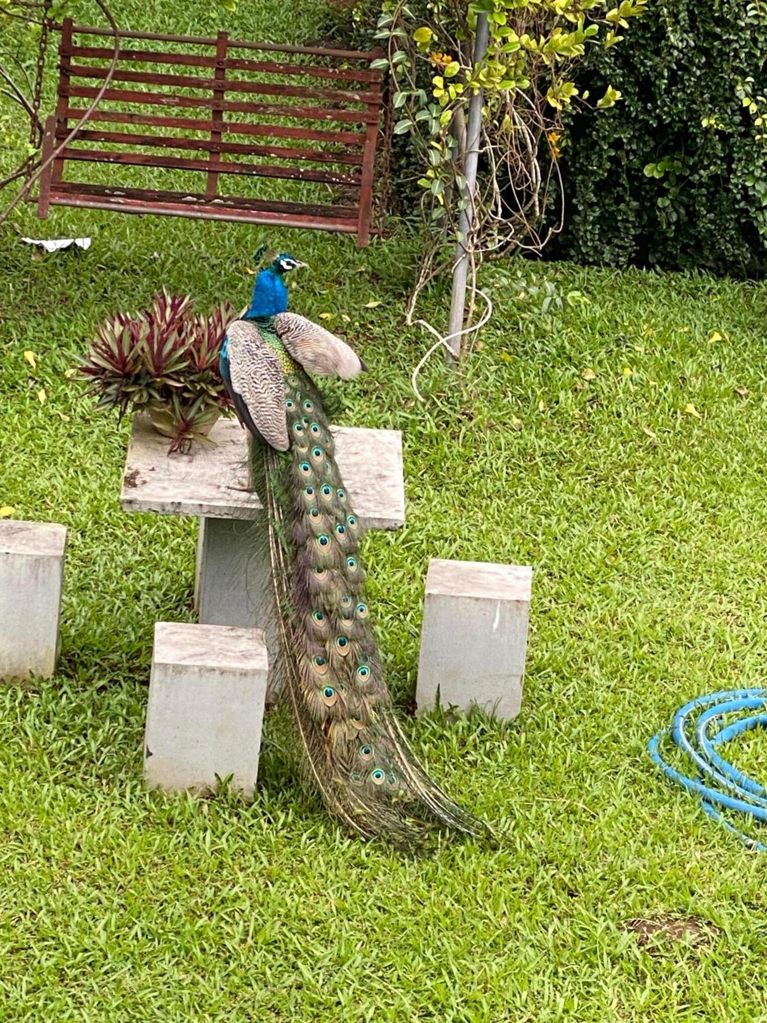 Waasala Leisure Hotell Anuradhapura Exteriör bild